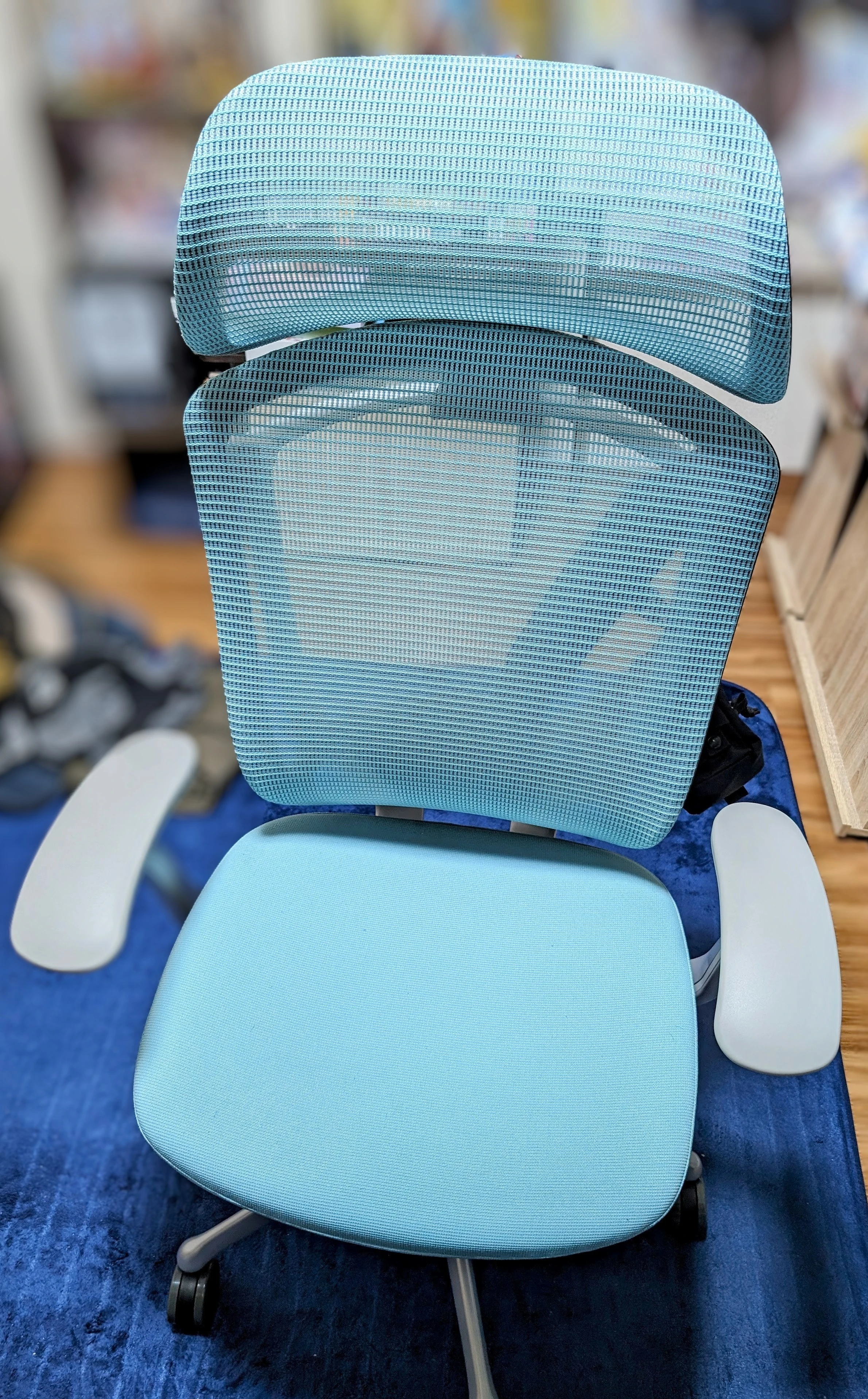 コンテッサⅡ セコンダ