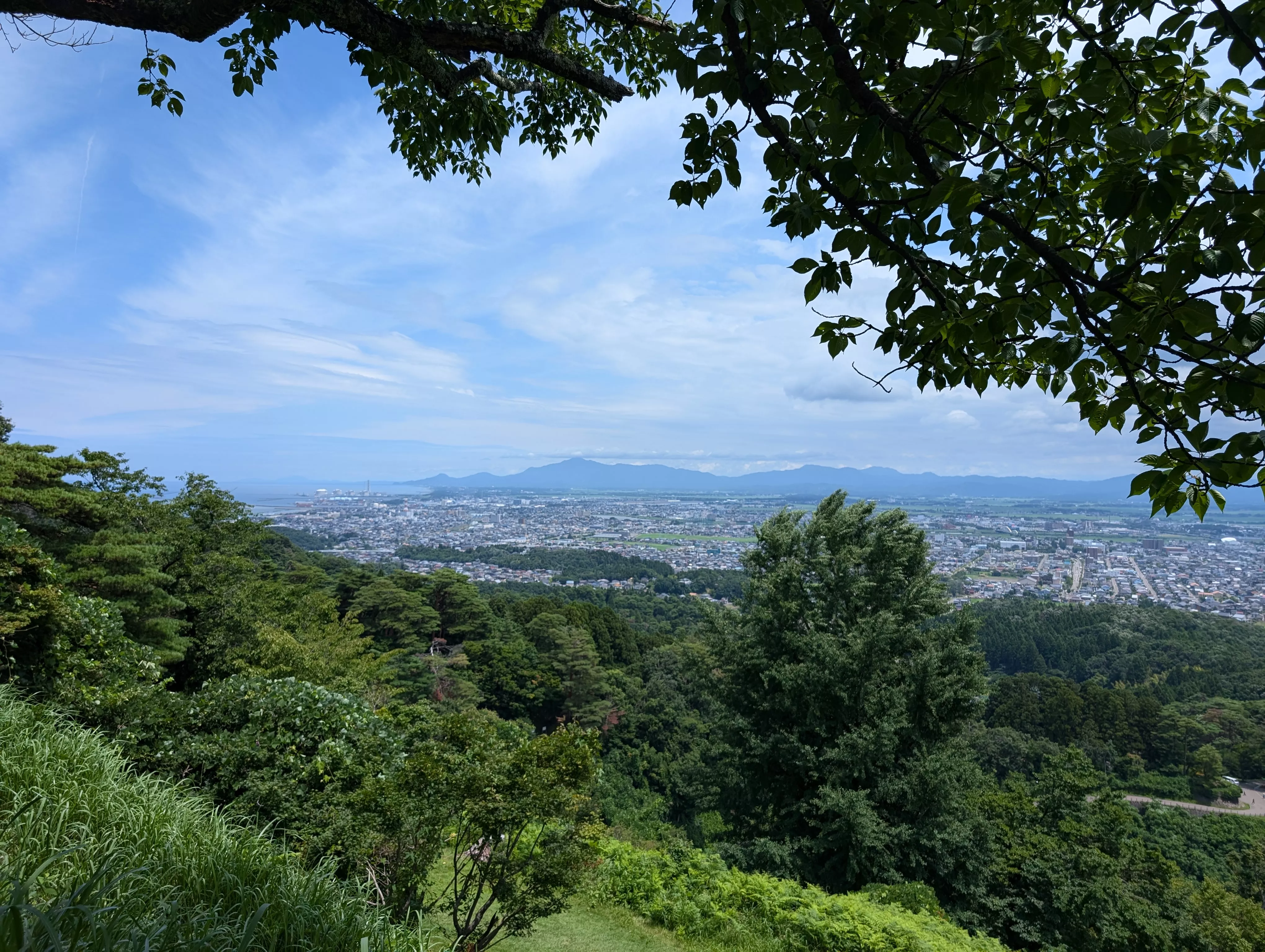 山頂からの眺め
