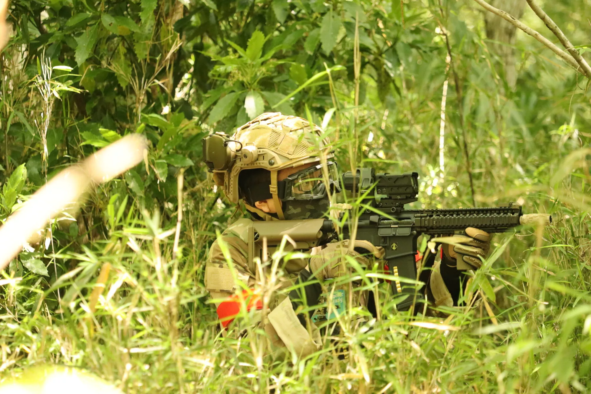 草むらに隠れる