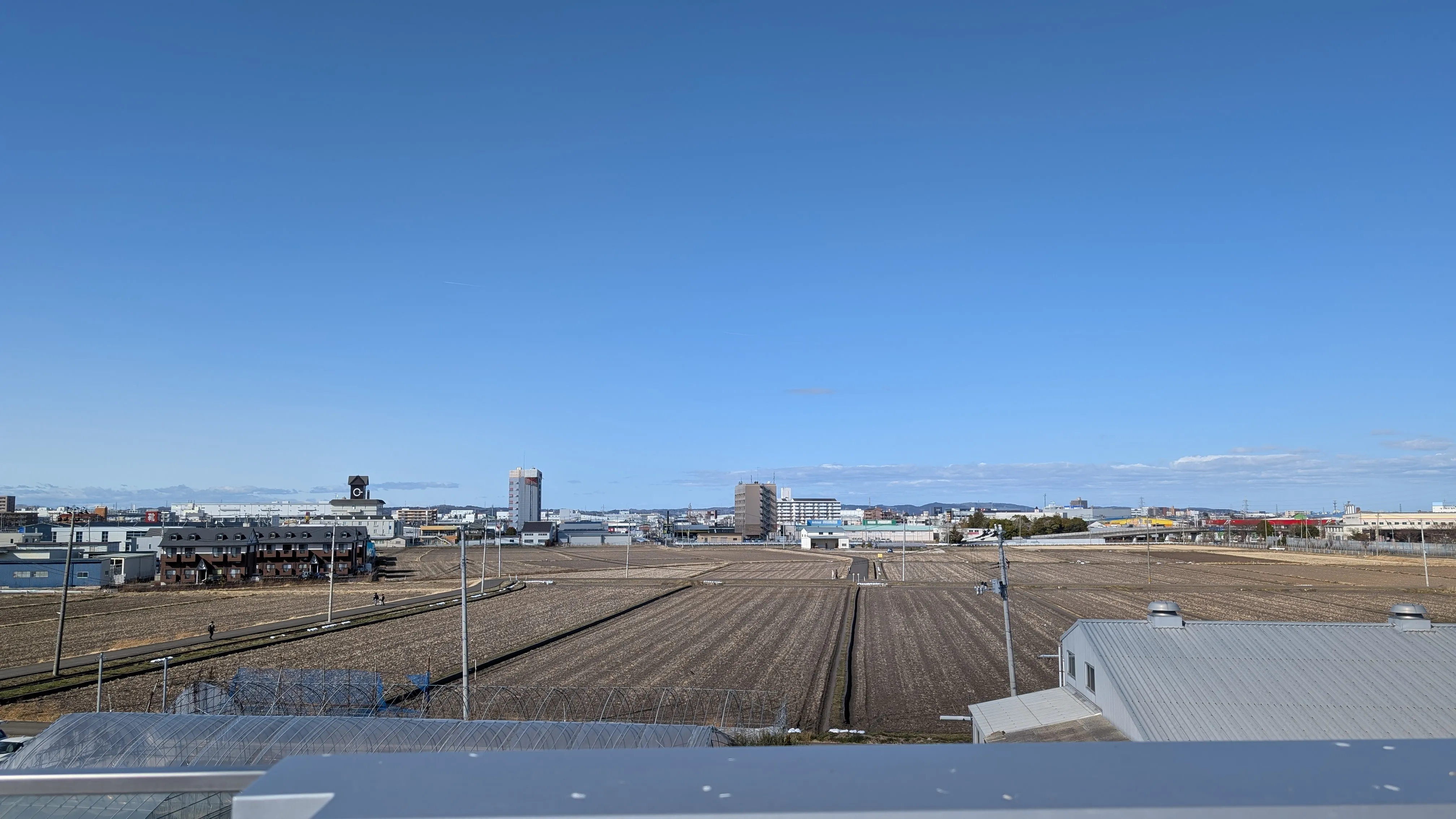 仙台GIGS周辺の畑の風景（駅近くなのに一面畑）
